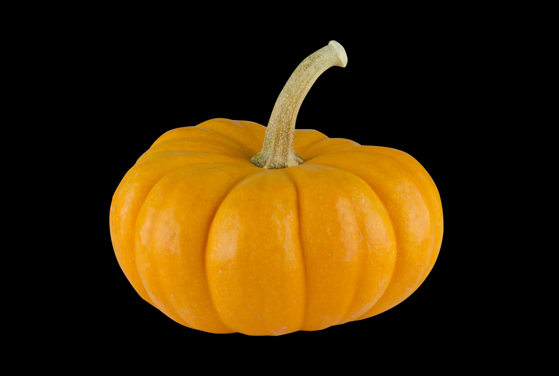 Vibrant Orange Pumpkin Black Background PNG Image