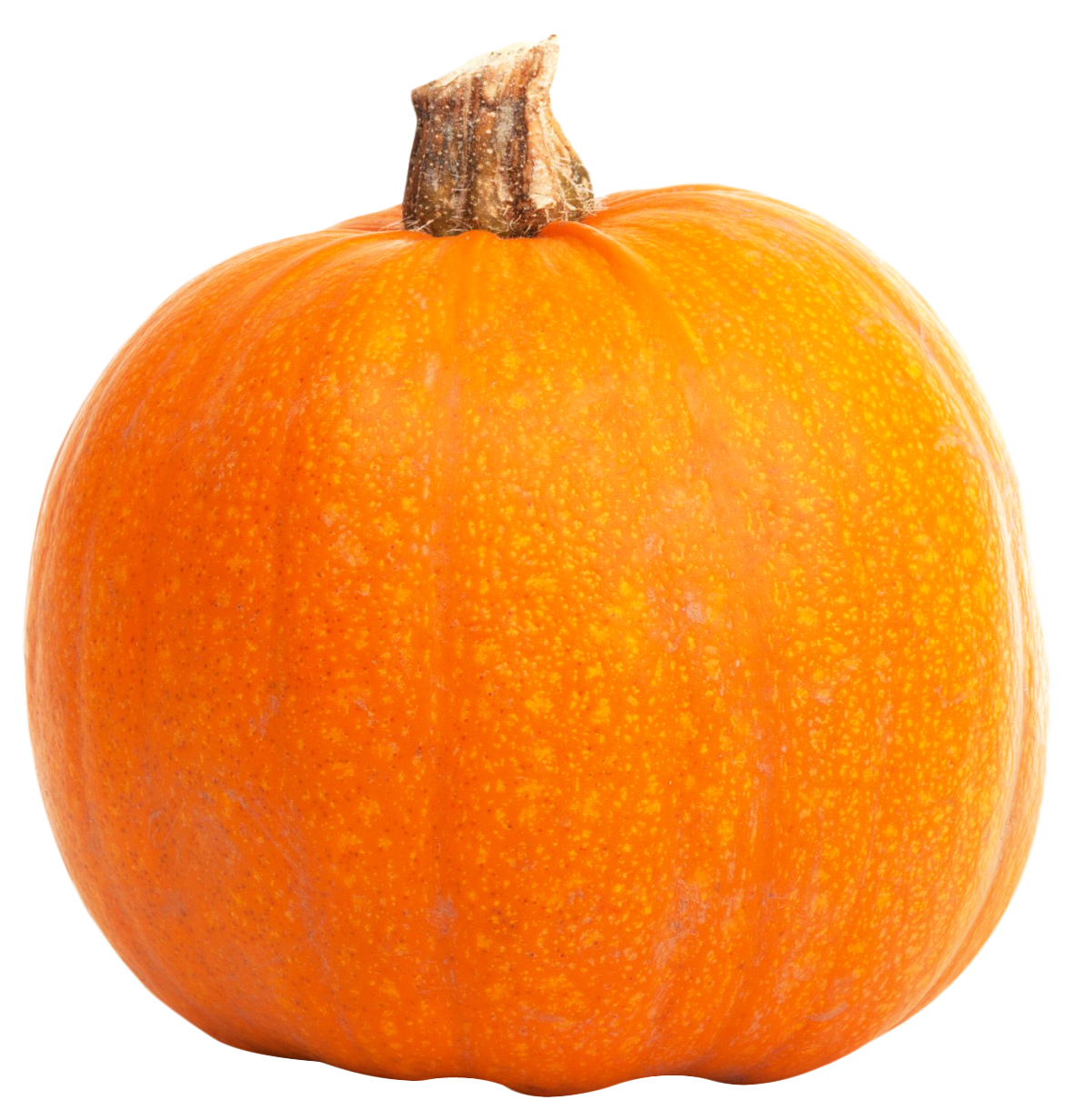 Vibrant Orange Pumpkin.png PNG Image