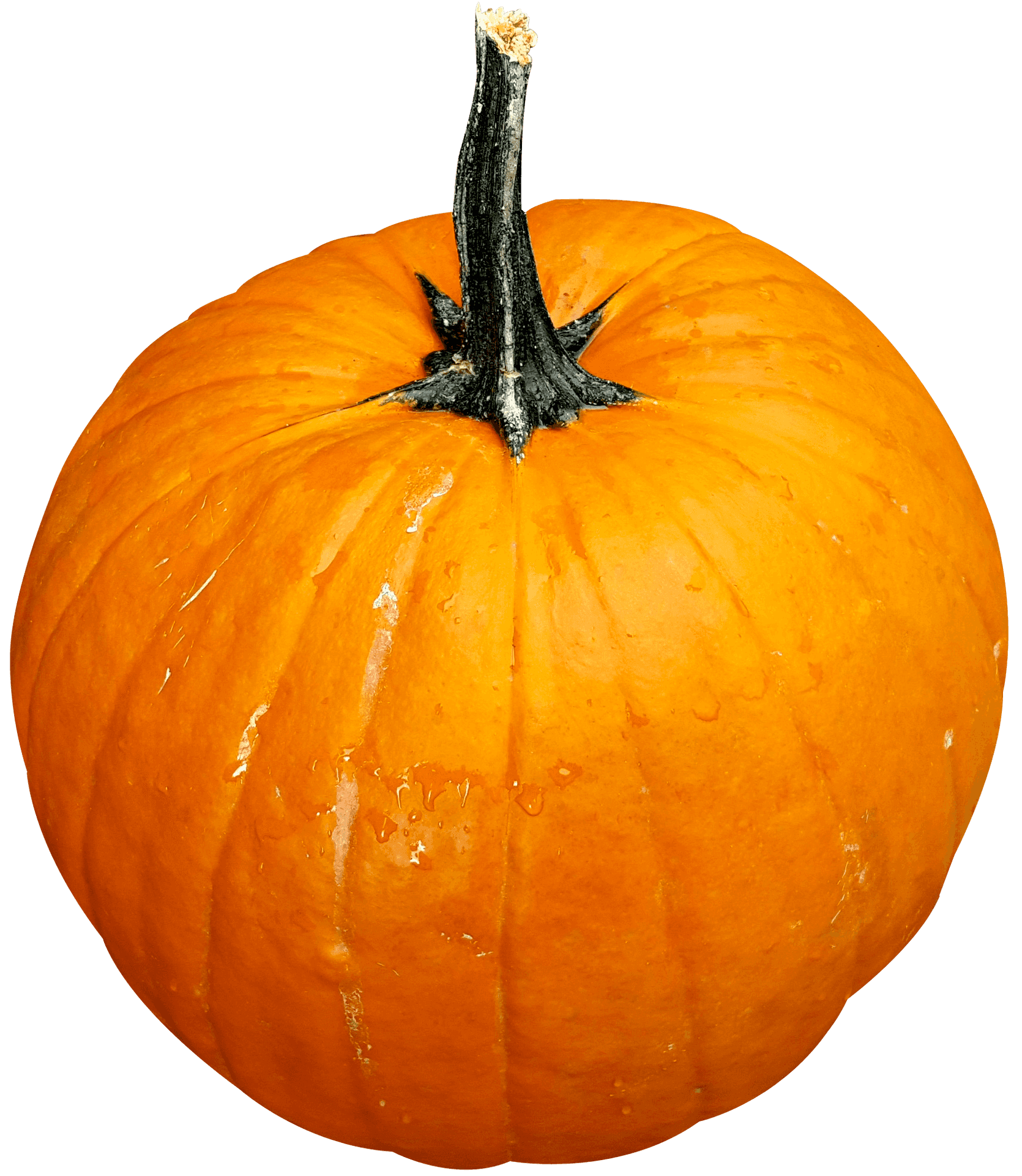 Vibrant Orange Pumpkinwith Water Droplets.png PNG Image