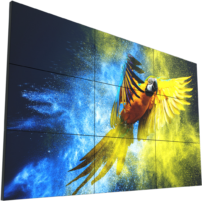 Vibrant Parrot Cosmic Wall Art PNG Image