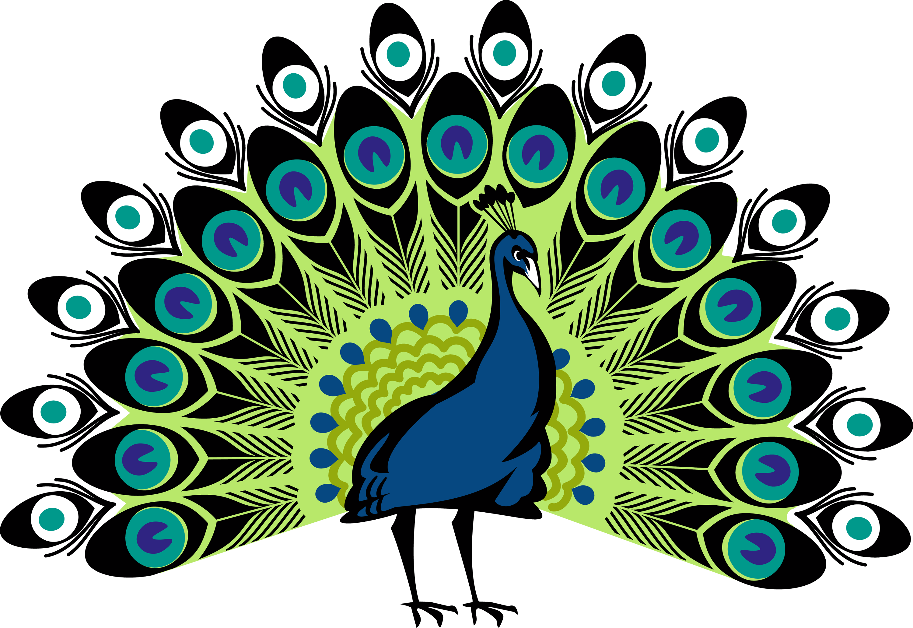 Vibrant Peacock Display Illustration PNG Image