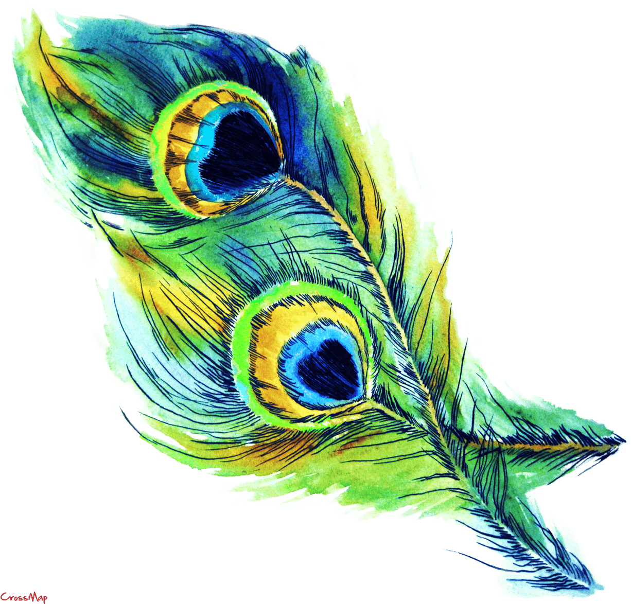 Vibrant_ Peacock_ Feather_ Artwork PNG Image