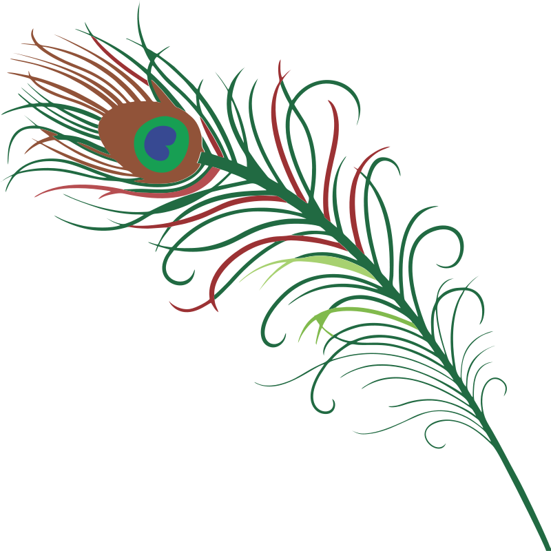 Vibrant_ Peacock_ Feather_ Artwork PNG Image