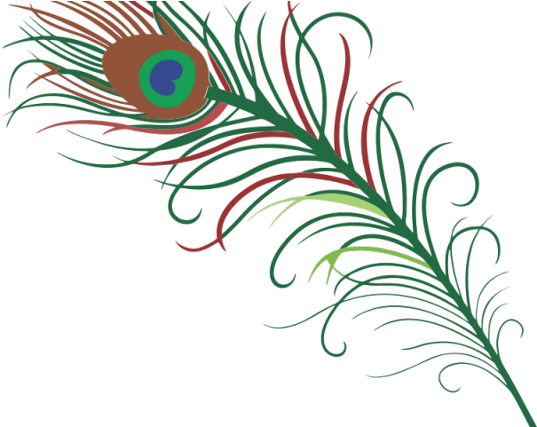 Vibrant_ Peacock_ Feather_ Artwork PNG Image