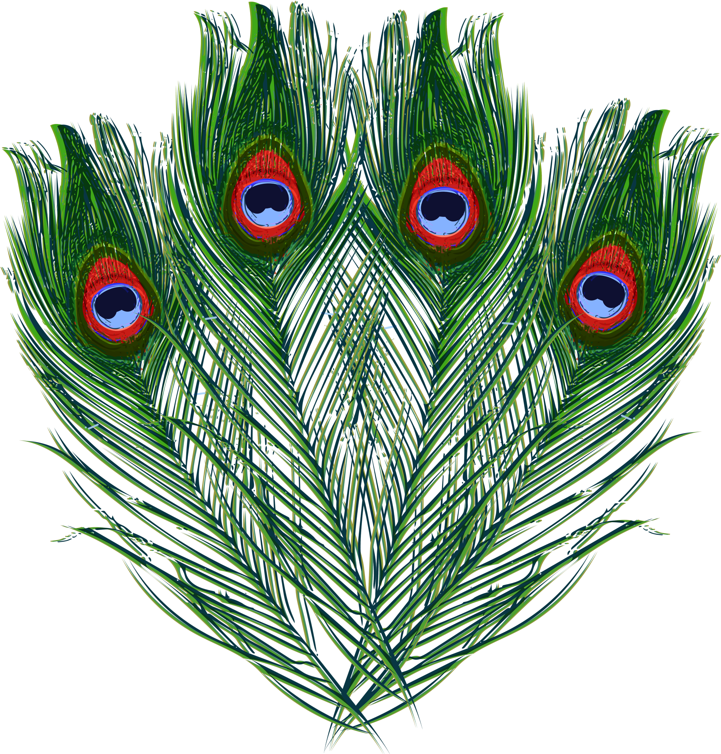 Vibrant_ Peacock_ Feathers_ Display PNG Image