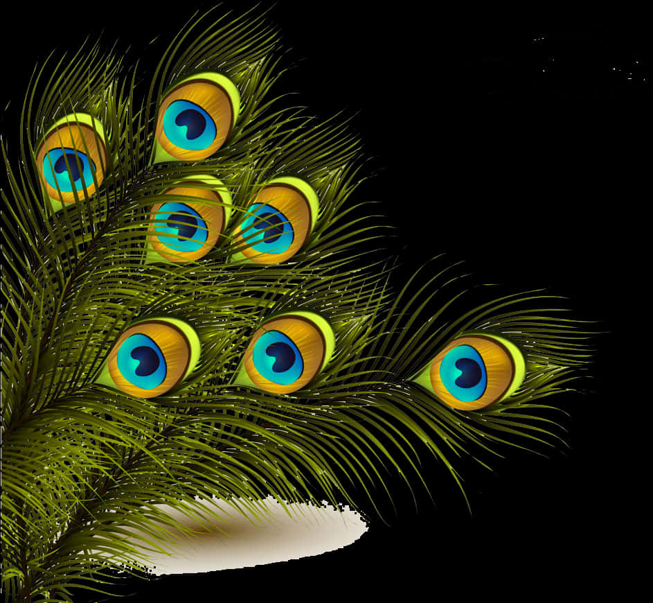 Vibrant Peacock Feathers PNG Image