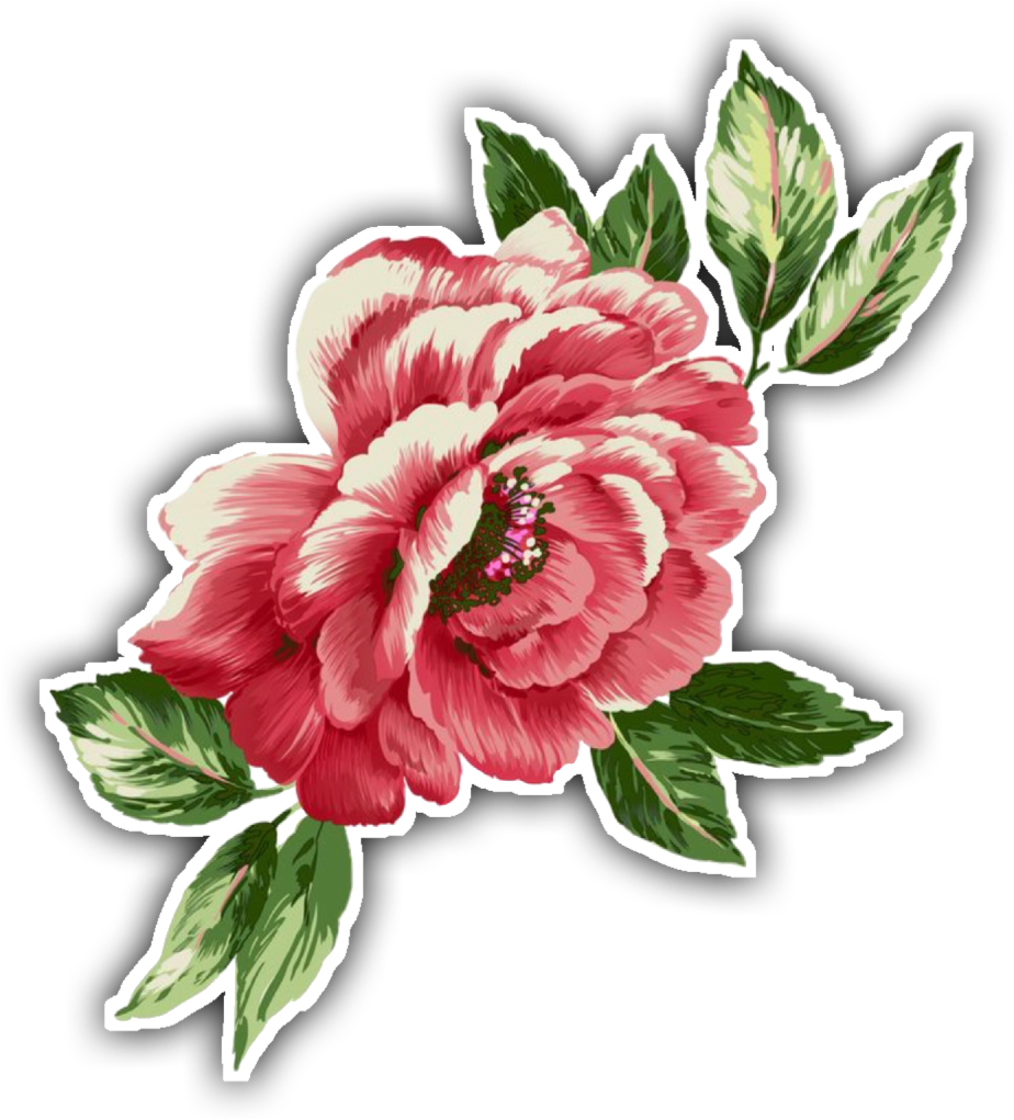 Vibrant Peony Illustration PNG Image