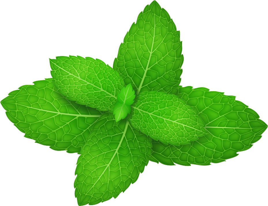 Vibrant Peppermint Leaves PNG Image