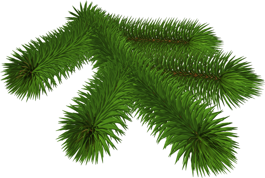 Vibrant Pine Branch3 D Render PNG Image