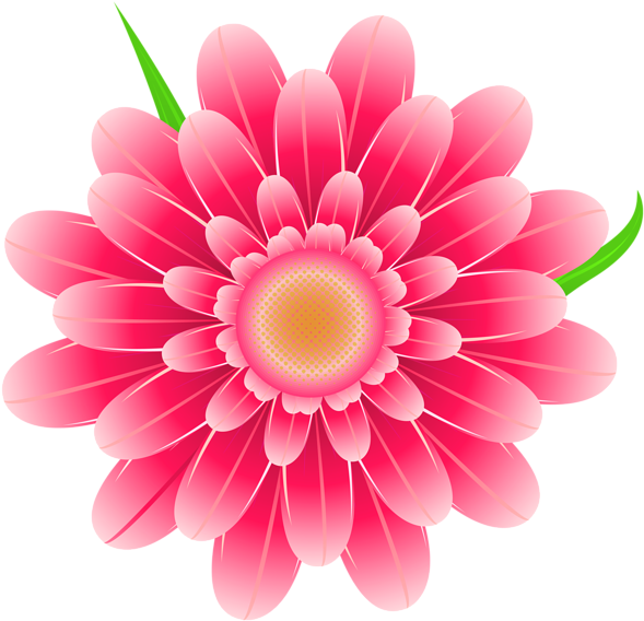 Vibrant Pink Floral Graphic PNG Image