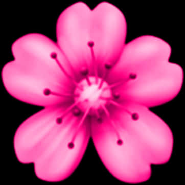 Vibrant_ Pink_ Flower_ Black_ Background PNG Image