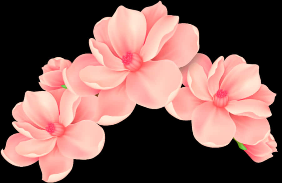 Vibrant Pink Flowers Black Background PNG Image