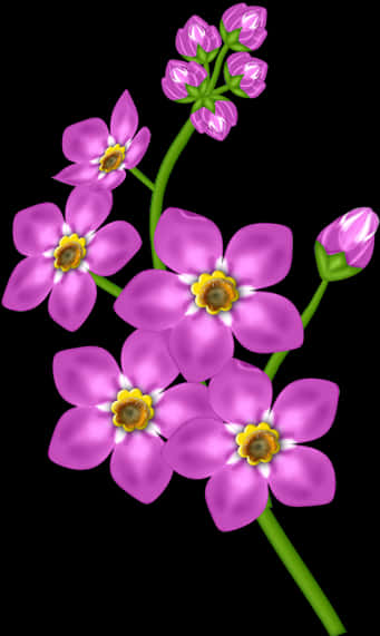 Vibrant Pink Flowers Black Background PNG Image