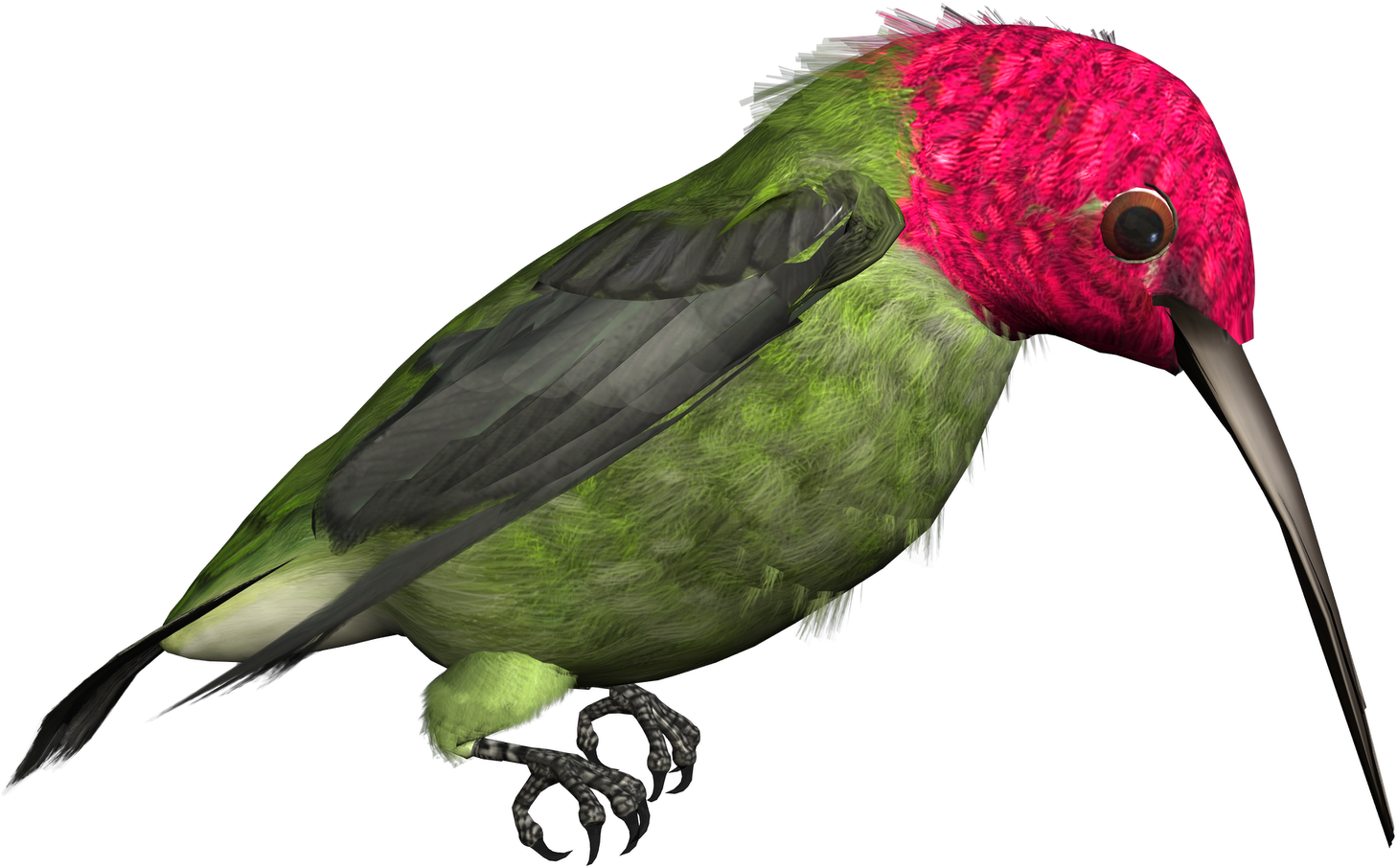 Vibrant Pink Headed Hummingbird Illustration PNG Image