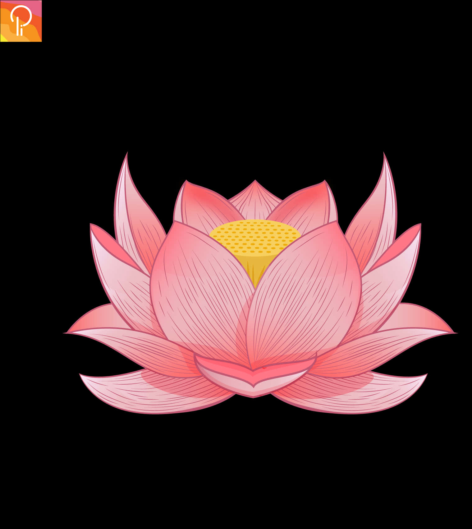 Vibrant Pink Lotus Illustration PNG Image