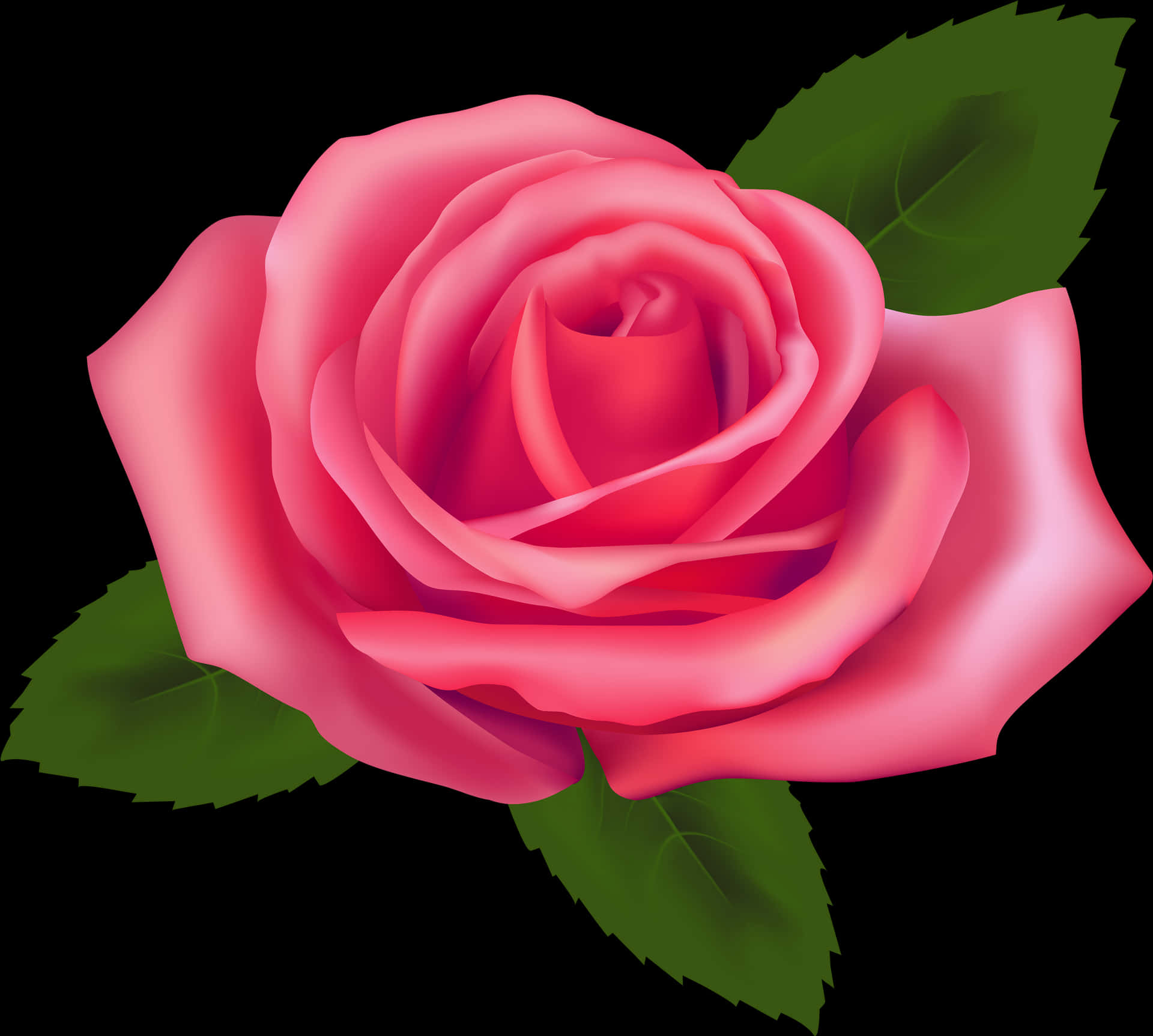 Vibrant_ Pink_ Rose_ Illustration PNG Image