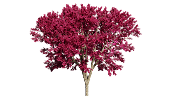 Vibrant Pink Treeon Black Background.jpg PNG Image