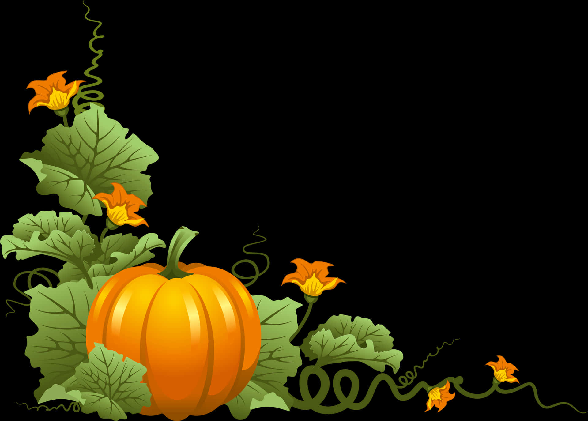 Vibrant Pumpkinand Flowers Illustration PNG Image