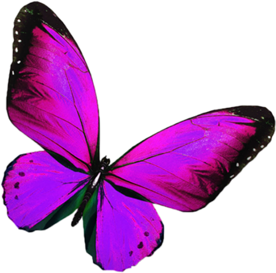 Vibrant Purple Butterfly Sticker PNG Image