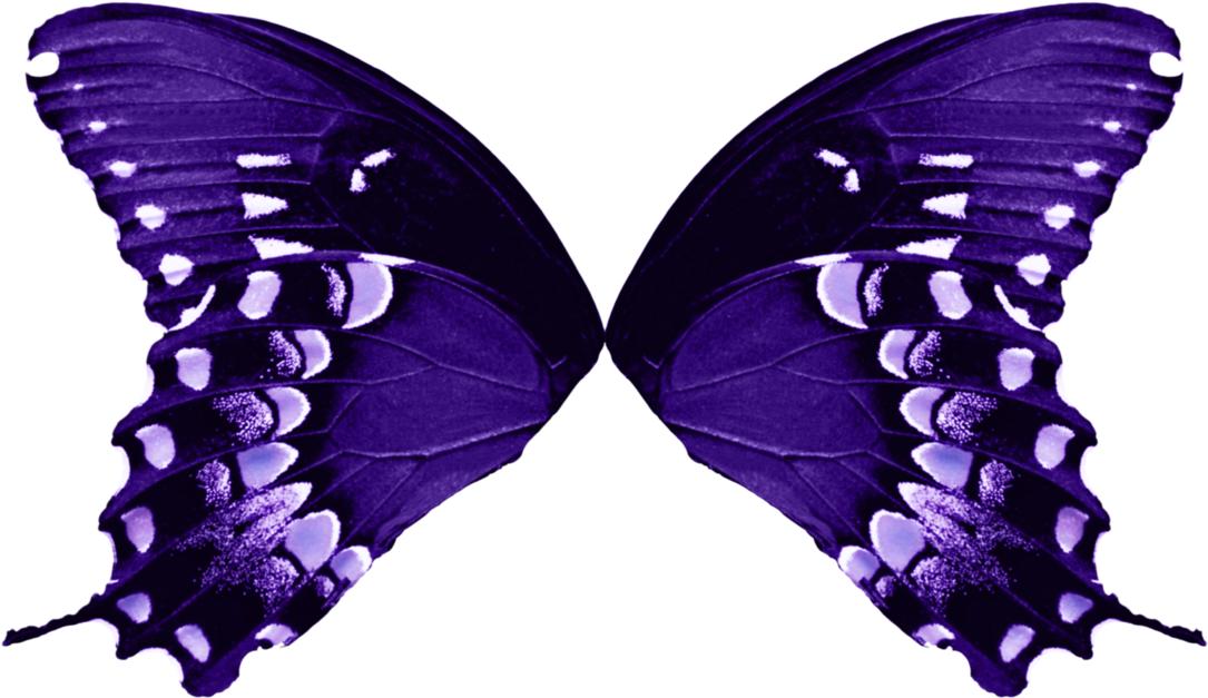 Vibrant_ Purple_ Butterfly_ Wings PNG Image