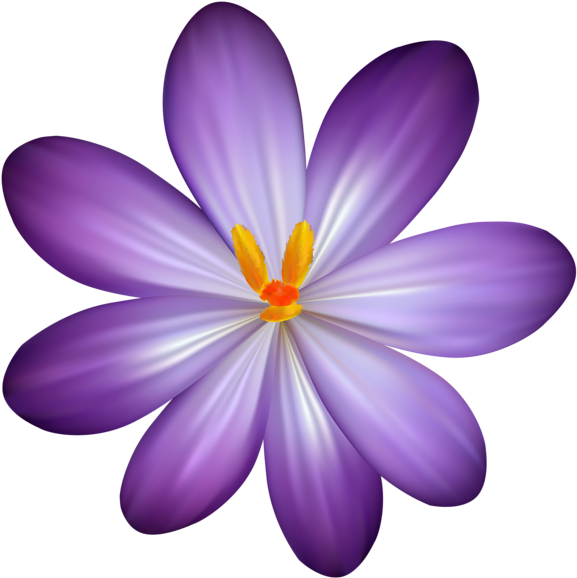 Vibrant Purple Flower Illustration PNG Image