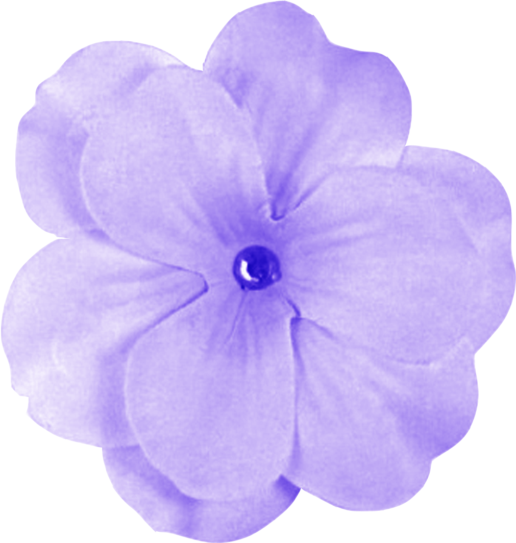 Vibrant Purple Flower Isolated PNG Image