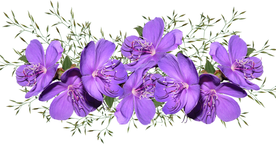 Vibrant_ Purple_ Flowers_ Arrangement.png PNG Image