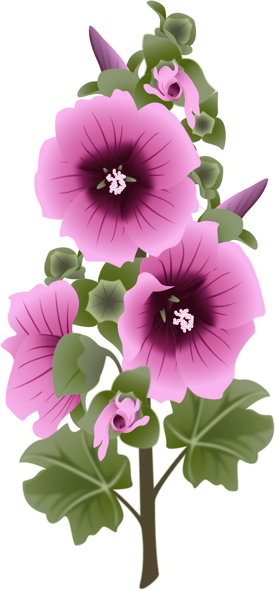 Vibrant_ Purple_ Flowers_ Artwork PNG Image