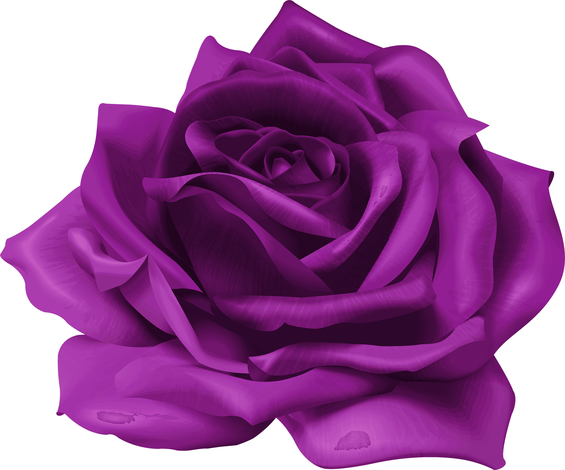 Vibrant Purple Rose Graphic PNG Image