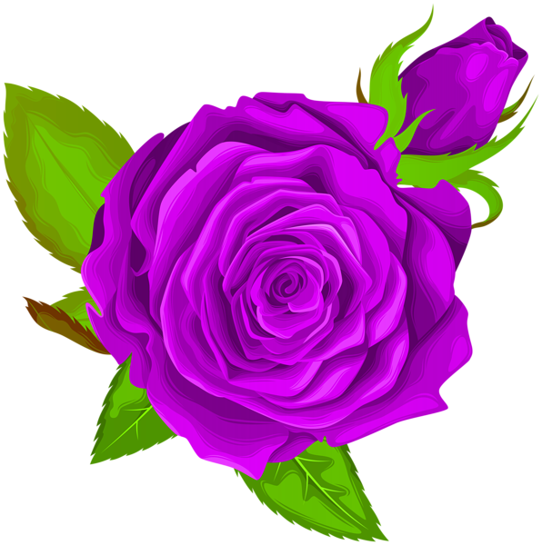 Vibrant Purple Rose Illustration PNG Image