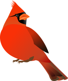 Vibrant Red Cardinal Illustration PNG Image