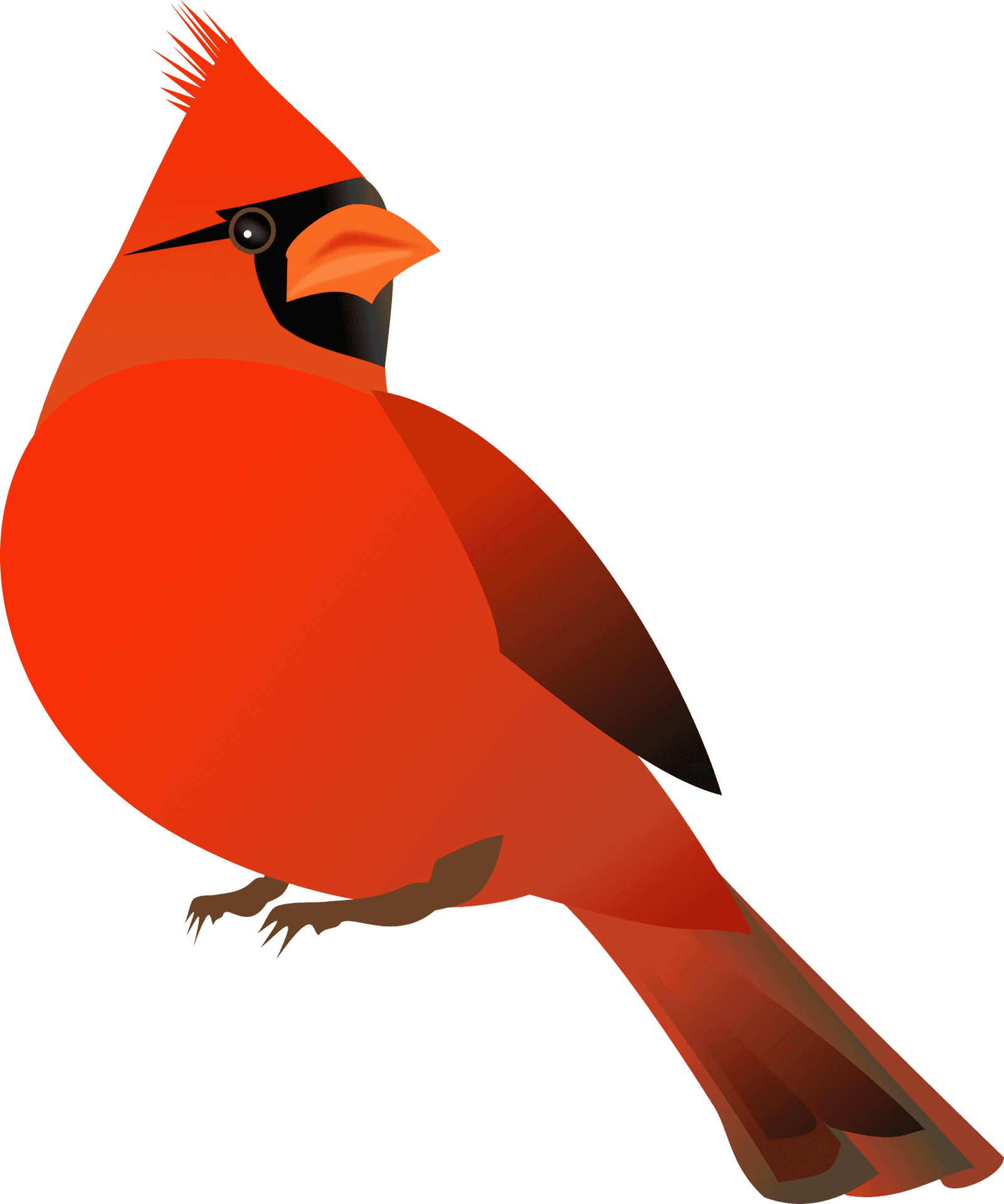 Vibrant Red Cardinal Illustration PNG Image