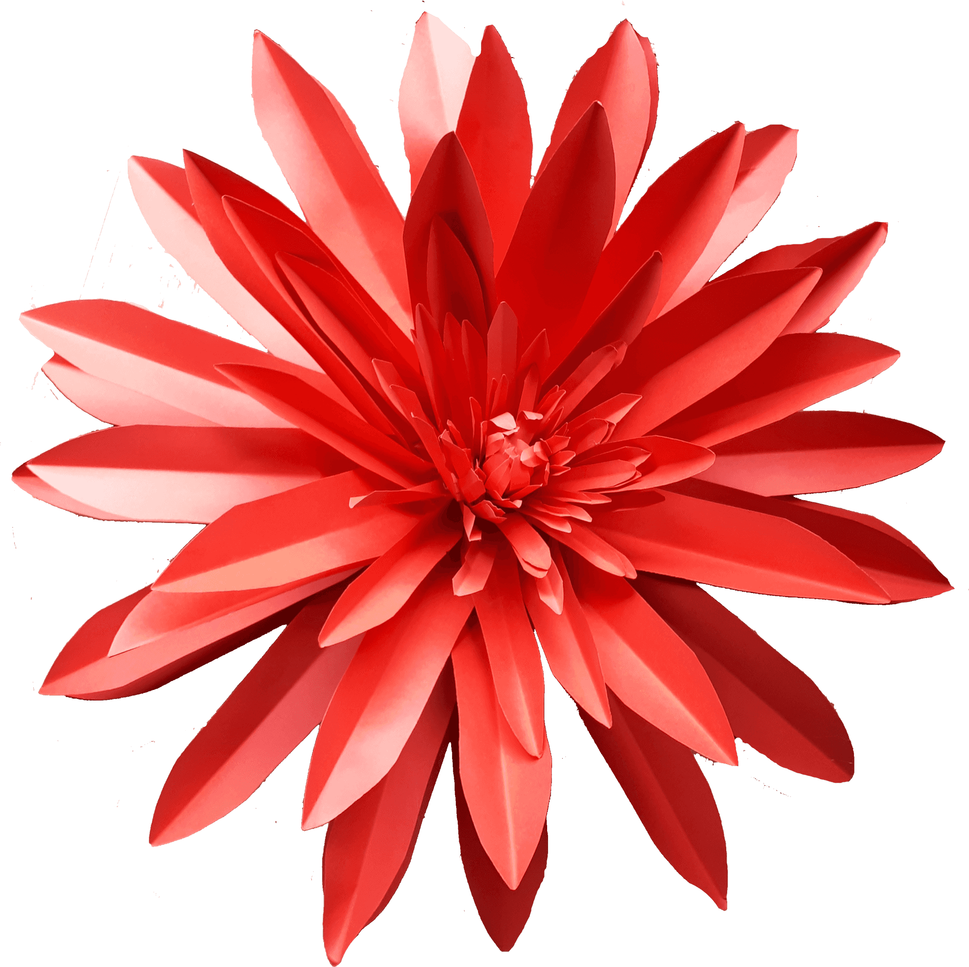 Vibrant Red Dahlia Flower PNG Image