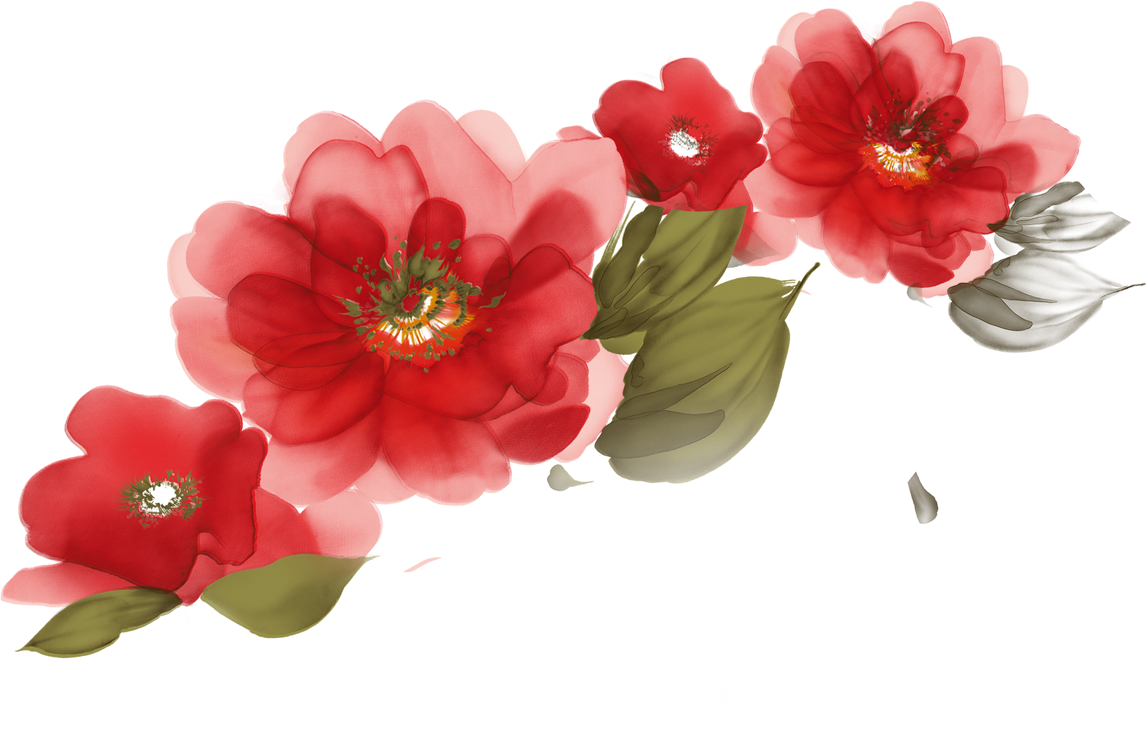 Vibrant Red Flowers Illustration PNG Image