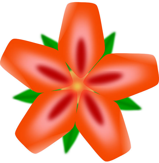 Vibrant_ Red_ Hawaiian_ Flower_ Illustration PNG Image