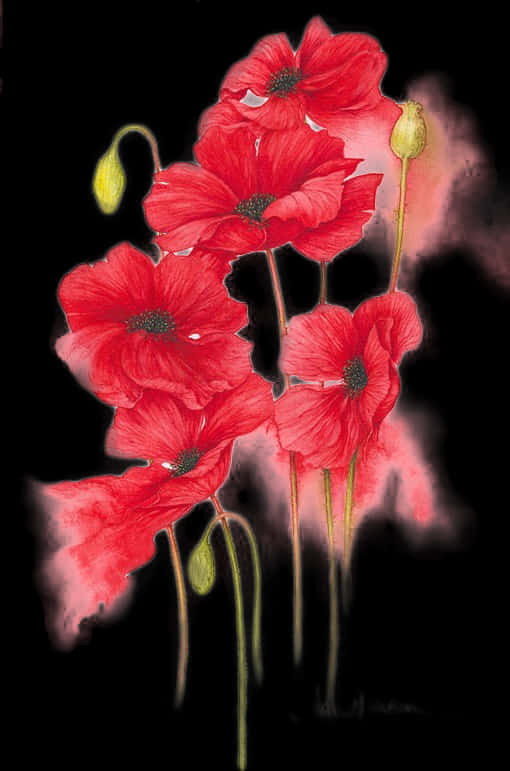 Vibrant Red Poppies Artwork PNG Image