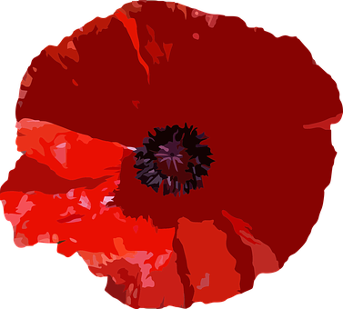 Vibrant_ Red_ Poppy_ Flower_ Vector PNG Image