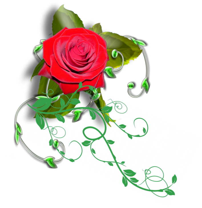 Vibrant Red Rose Artwork PNG Image