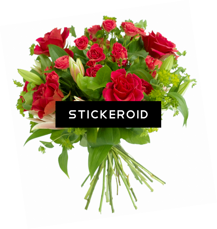 Vibrant_ Red_ Rose_ Bouquet_ Transparent_ Background.png PNG Image