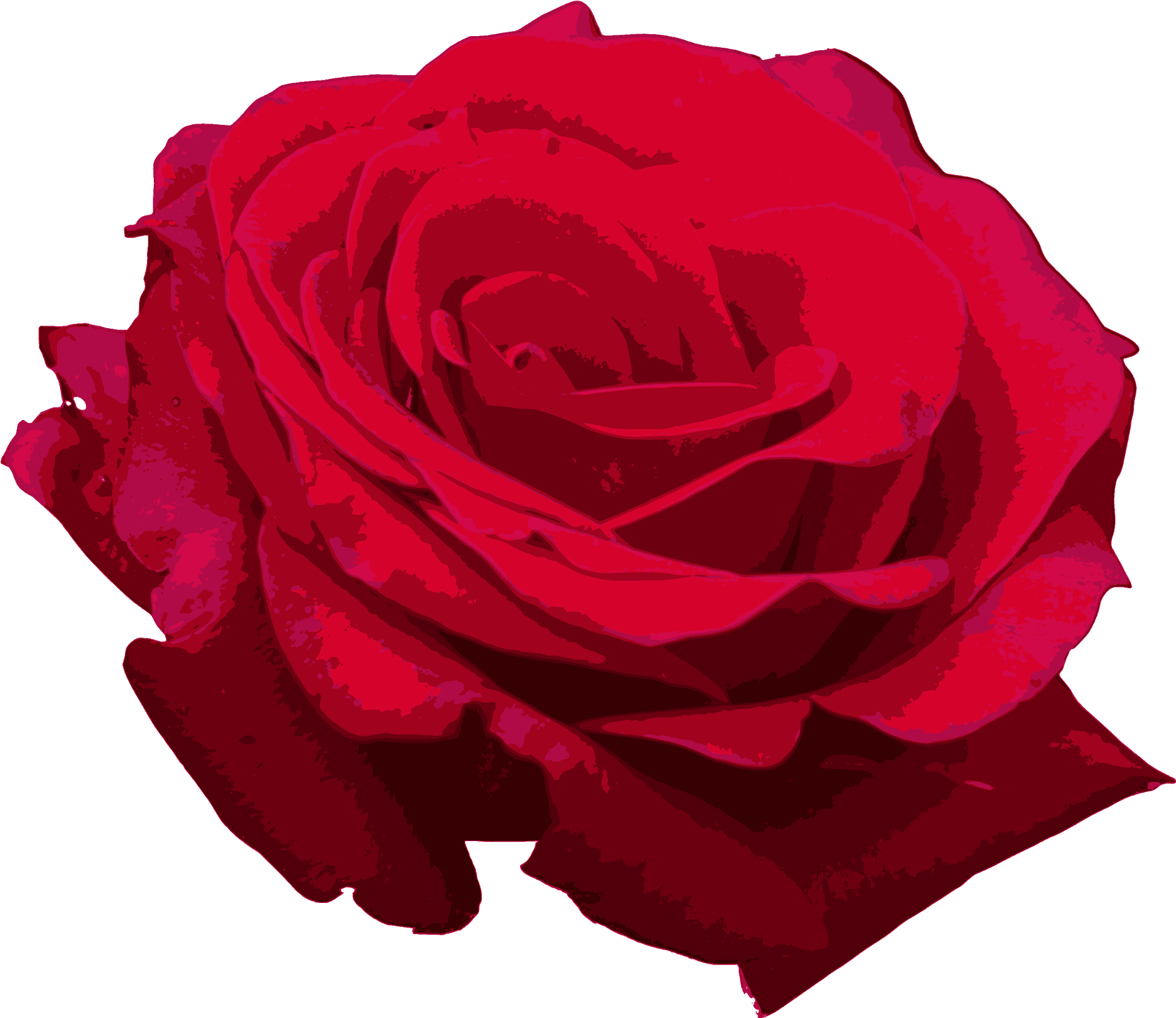 Vibrant Red Rose Graphic PNG Image