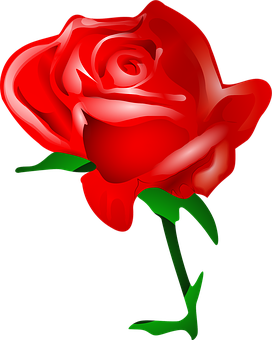 Vibrant Red Rose Illustration PNG Image