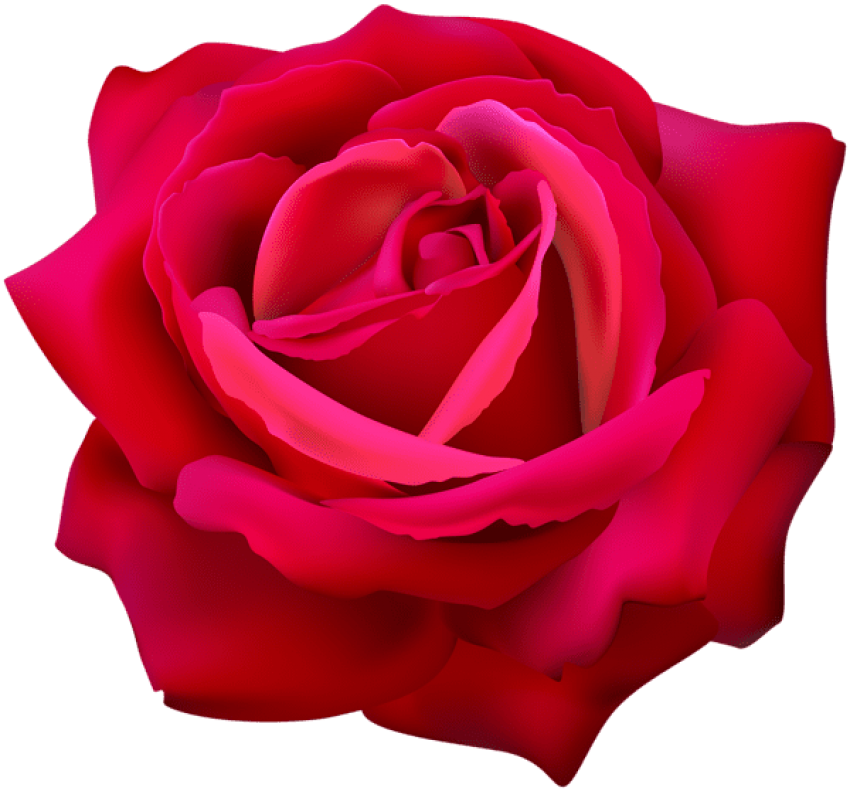 Vibrant Red Rose3 D Render PNG Image