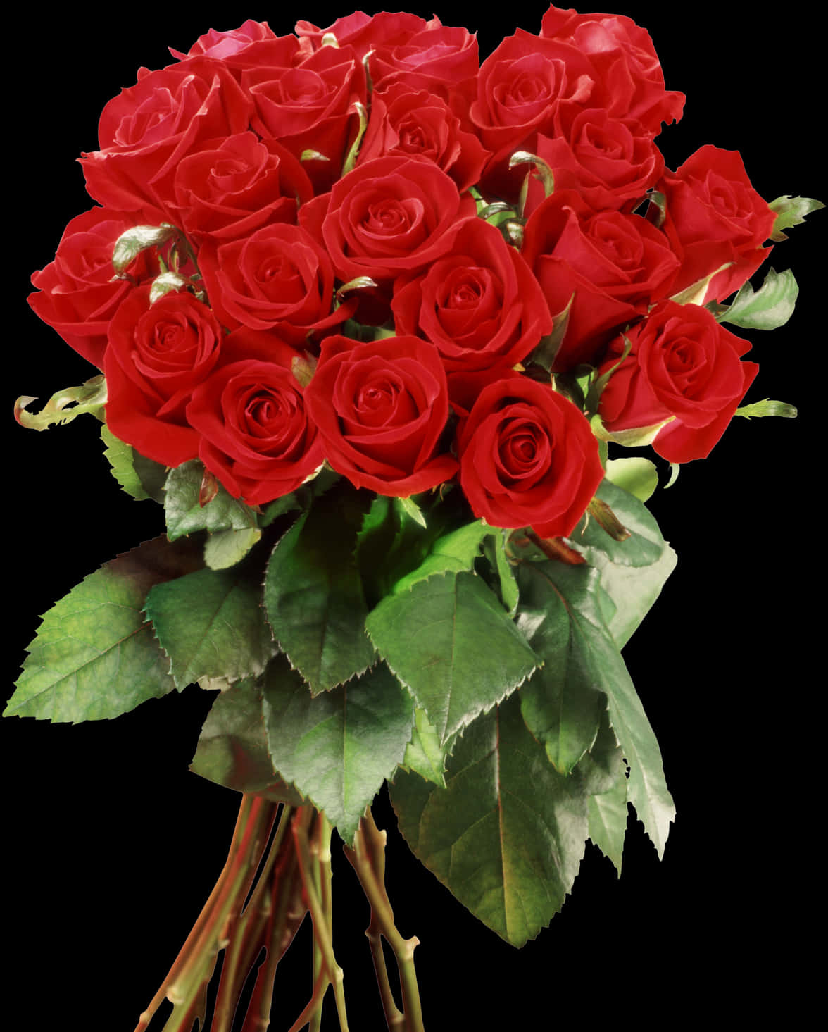 Vibrant Red Roses Bouquet PNG Image