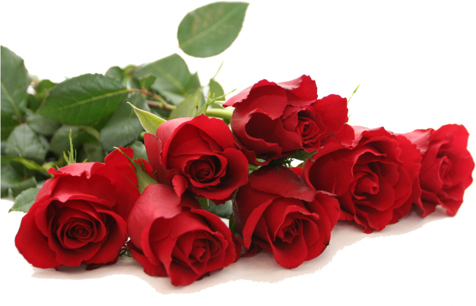 Vibrant_ Red_ Roses_ Bouquet.png PNG Image