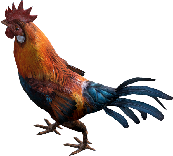 Vibrant Rooster Isolatedon Transparent Background PNG Image