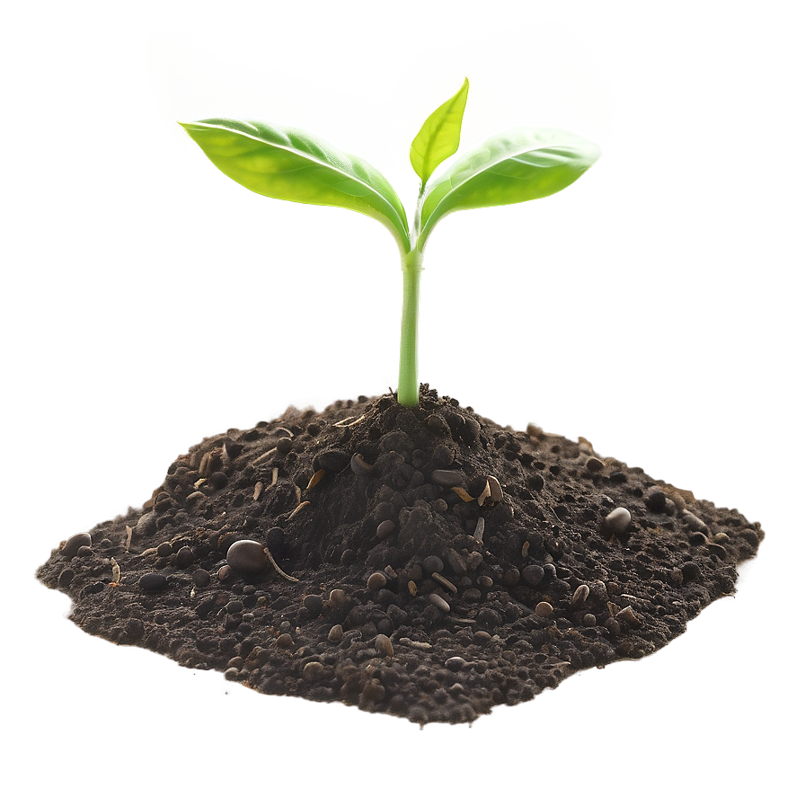 Vibrant Soil Texture Png 16 PNG Image