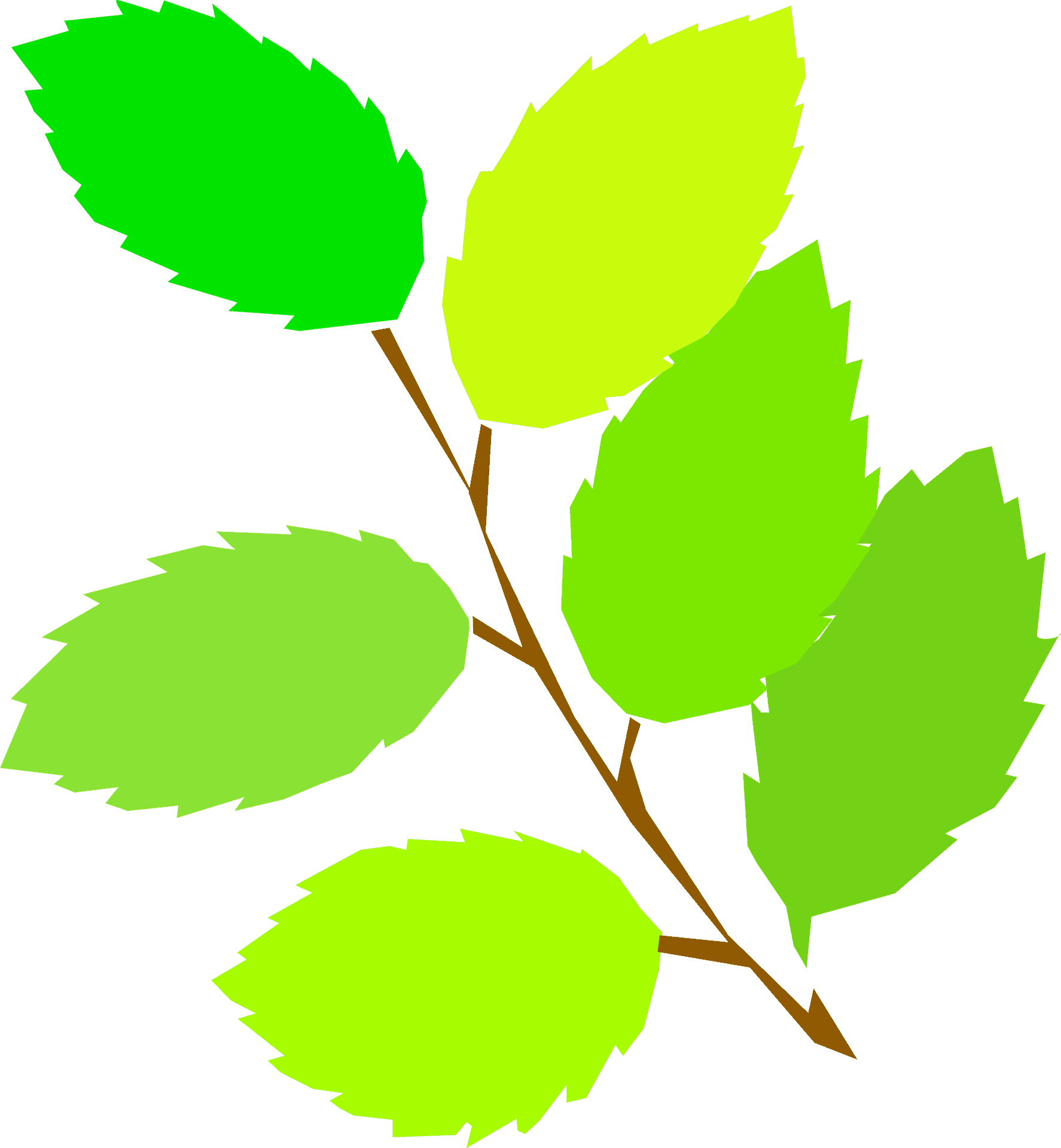 Vibrant Spring Leaves Graphic PNG Image