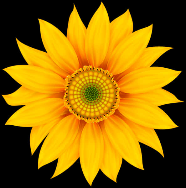 Vibrant Sunflower Graphic PNG Image