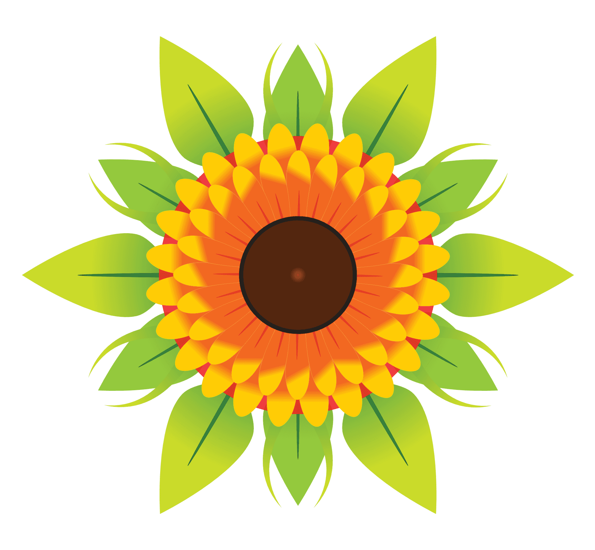 Vibrant Sunflower Graphic PNG Image