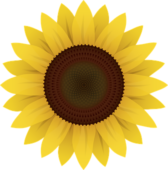 Vibrant Sunflower Graphic PNG Image